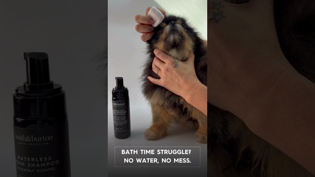smith&burton Waterless Foam Shampoo | Rinse-Free Clean for Dogs & Cats