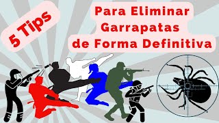 5 TIPS INFALIBLES PARA ELIMINAR LAS GARRAPATAS DEL PERRO DE FORMA DEFINITIVA EN 2023  ÉXITO SEGURO