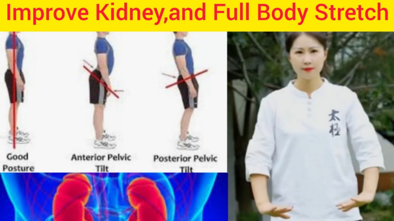 Improve Kidney Function 10 mint Full Body Stretch ,strengthen the
