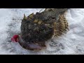 ワームを投げたら巨大生物が…!!