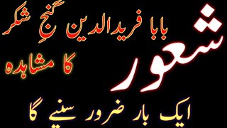 ||Shaour||Baba Fareed u dens Experiment||By Hamza Munir