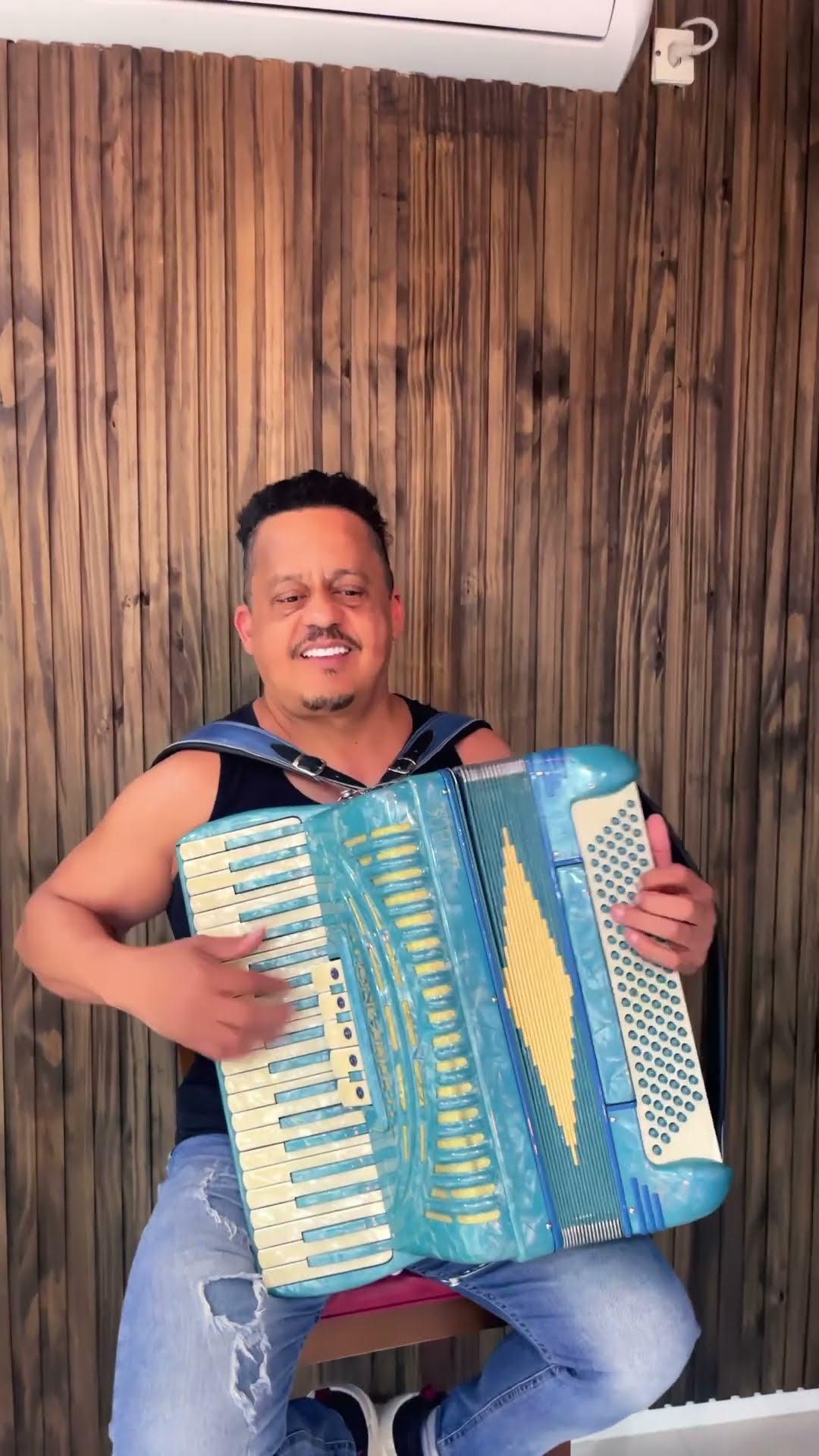 Acordeon disponível 48988322488 horas