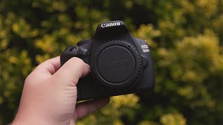Может ли старая камера Rebel Canon оставаться хорошей в 2022 году?
