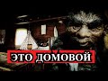 Страшная История - ЭТО ДОМОВОЙ