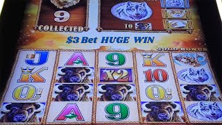 $3 Bet HUGE WIN With Buffalo And Sunsets Multiplier On BUFFALO GOLD Slot Machine - SunFlower Slots