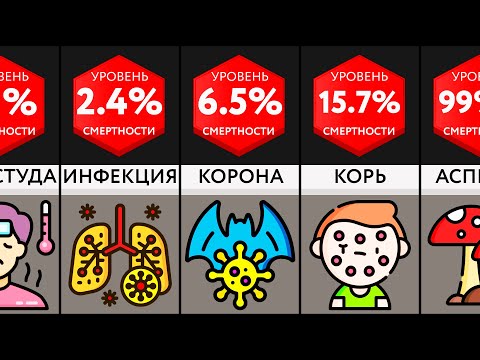 Сравнение:  Смертельные Болезни