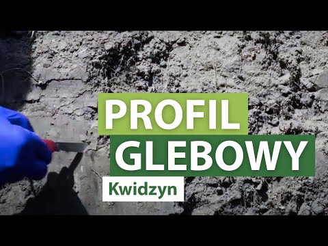 Wideo: Pielęgnacja Gleby: Faza Ciekła Lub Roztwór Glebowy