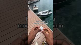 Hooking Into a big tarpon in 3 seconds #fishing #stcroix #gofish #bigfish