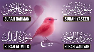 Download Lagu Very Nice Voice Surah Yaseen | Surah Rahman | Surah Waqiah | Surah Mulk l Reciter Ashraf Hussain 041 MP3