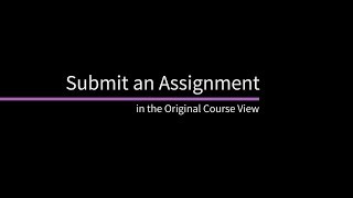 Celebrity Submit an Assignment Wealth
