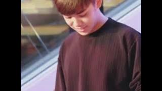 Stay - Third Kamikaze 😻