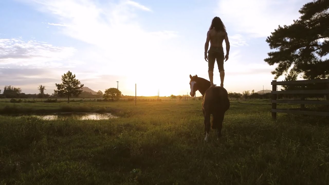 Coração de Puma - Guto Petry