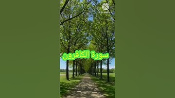 #سورة-الكافرون-الشيخ-ماهر-المعيقلي-قرآن-كريم-المصحف-الشريف-تلاوة-رائعة