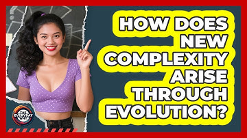 How Does New Complexity Arise Through Evolution? - The Everyday Why