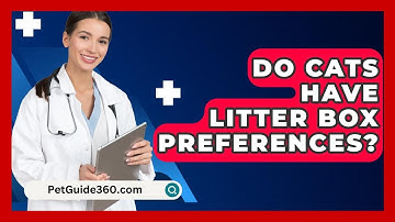 Do Cats Have Litter Box Preferences? - PetGuide360.com
