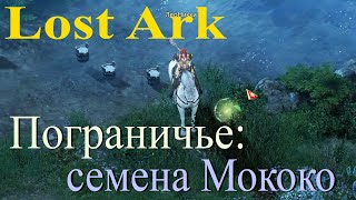 Семена Мококо в Пограничье Lost Ark