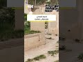 گۆڕستانی کەلاری کۆن پڕبووە و شوێنی نەماوە و لەسەر رێگاکانیش گۆڕ ھەڵکەندراوە