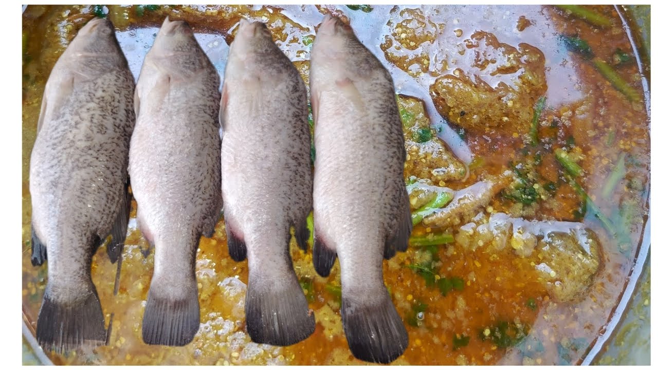 Aja chai machha pakadaix fish recipe #food #khotang #nepal - YouTube