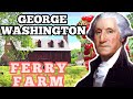 GEORGE WASHINGTON Boyhood FERRY FARM House CHERRY TREE Story