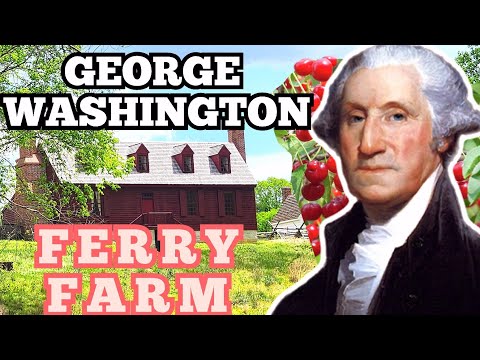 GEORGE WASHINGTON Boyhood FERRY FARM House CHERRY TREE Story