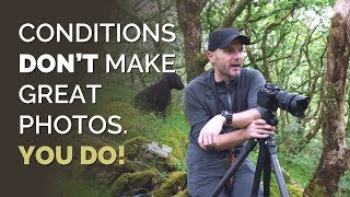 Conditions Dont Make Great Photos - You Do!