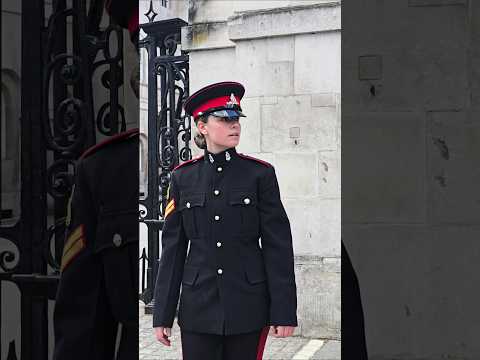Move back the protesters is coming #HorseGuards