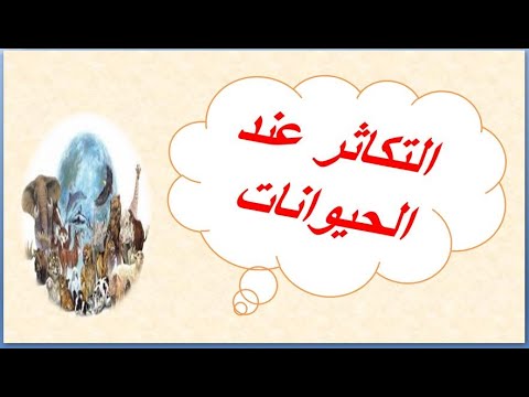 التكاثر عند الحيوانات للابتدائي الحيوانات البيوضة والولودة