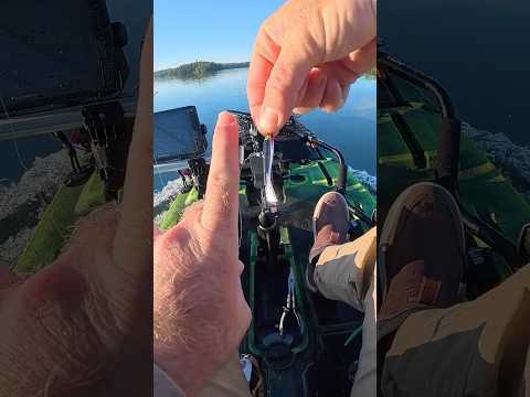 This TINY Bait Hooked a GIANT Fish