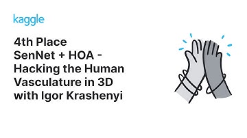 Kaggle Solution Walkthroughs: SenNet + HOA - Hacking the Human Vasculature in 3D with Igor Krashenyi