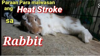 Paano ito Maiiwasan ng ating mga RABBIT [  how to cure ]