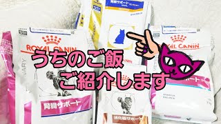 これがうちの療法食#ROYALCANIN#ロイヤルカナン#腎臓サポート#消化器サポート#シニア猫#療法食