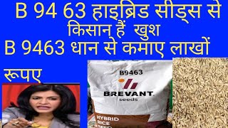 B 9463 हइबरड धन सडस कस ह B 9463 Hybrid Paddy Seeds