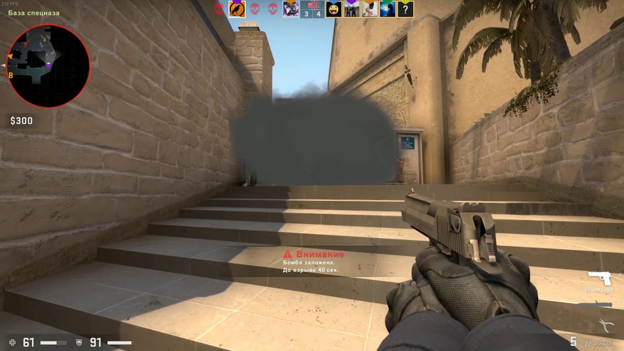 CS:GO^|^Animal - YouTube