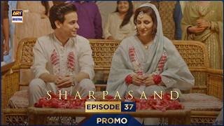 Sharpasand Episode 37  Promo  Ary Digital Drama