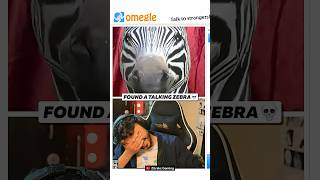 Found a Talking Zebra 😂 #funnyshorts #omegle