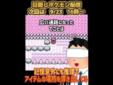 目隠し状態でサファリゾーン攻略。歩数制限がヤバい。【目隠しポケモン赤緑】