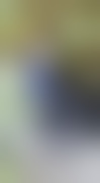 Viralll 2 siswa pelajar berkelahi