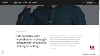 Celebrity Conico -” Responsive Multipurpose WordPress Theme        Gerald Flavi Net Worth