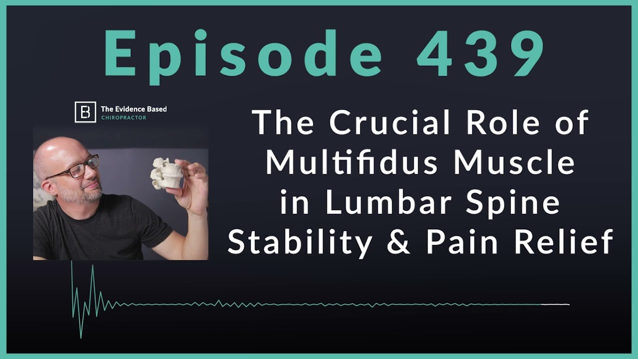 The Multifidus Muscle: A Game Changer in Low Back Pain Management | Podcast Ep. 439