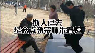 Мастер Чжу Чуньсюань (朱春煊老师 Zhu Chunxuan) - Демонстрация и фрагменты бесед