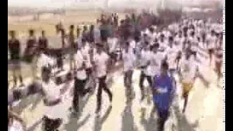 IEC University - Bhaag Baddi Bhaag January, 2014 part 5