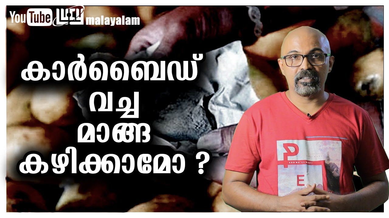 കാർബൈഡ് വച്ച മാങ്ങ കഴിക്കാമോ /calcium carbide mango / Chandrasekhar. R /Lucy