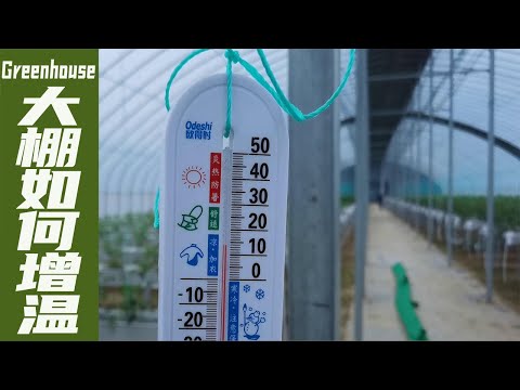 To increase the temperature of the greenhouse in winter, we used 4 methods to compare