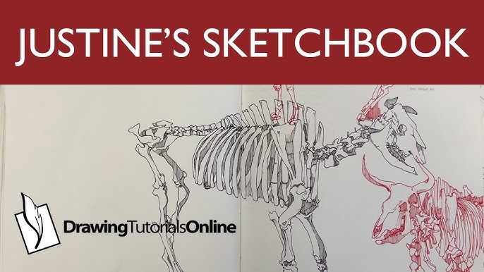 Sketchbook Drawing Techniques for Beginners | Sketchbook Drawing  Techniques for Beginners (lobonleal)