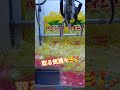 激とれなるか😳！？ #クレーンゲーム景品 #クレーンゲーム攻略 #ufoキャッチャー #ゲームセンター #ミニクレーンゲーム #shorts #パインアメ