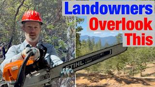 4 Ways a Chainsaw Increases Your Property Value (Most People Miss This)