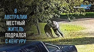 В Австралии местный житель подрался с кенгуру / RuNews24