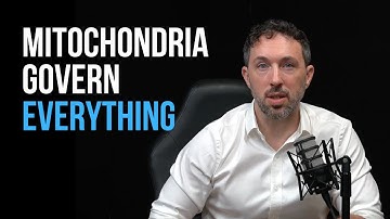 The science that convinced me mitochondria are the key to longevity