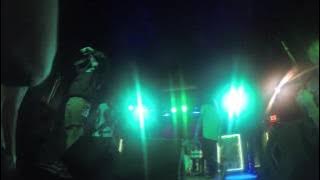 Outline in Color Live