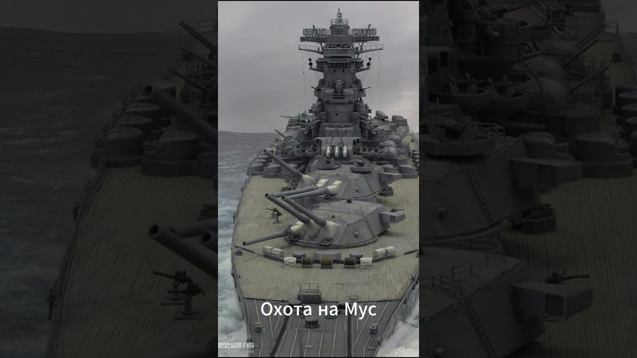 Охота на Мусаси 